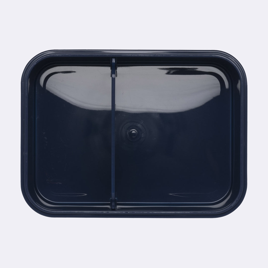 Lunch box, Tech Rex