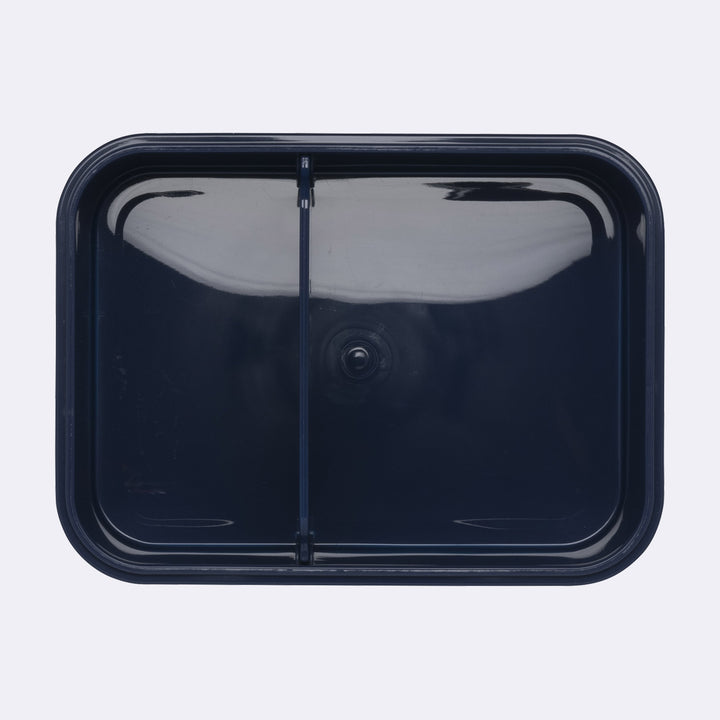 Lunch box, Tech Rex