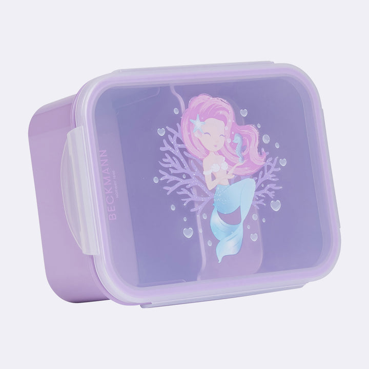 Lunch box, Seashell