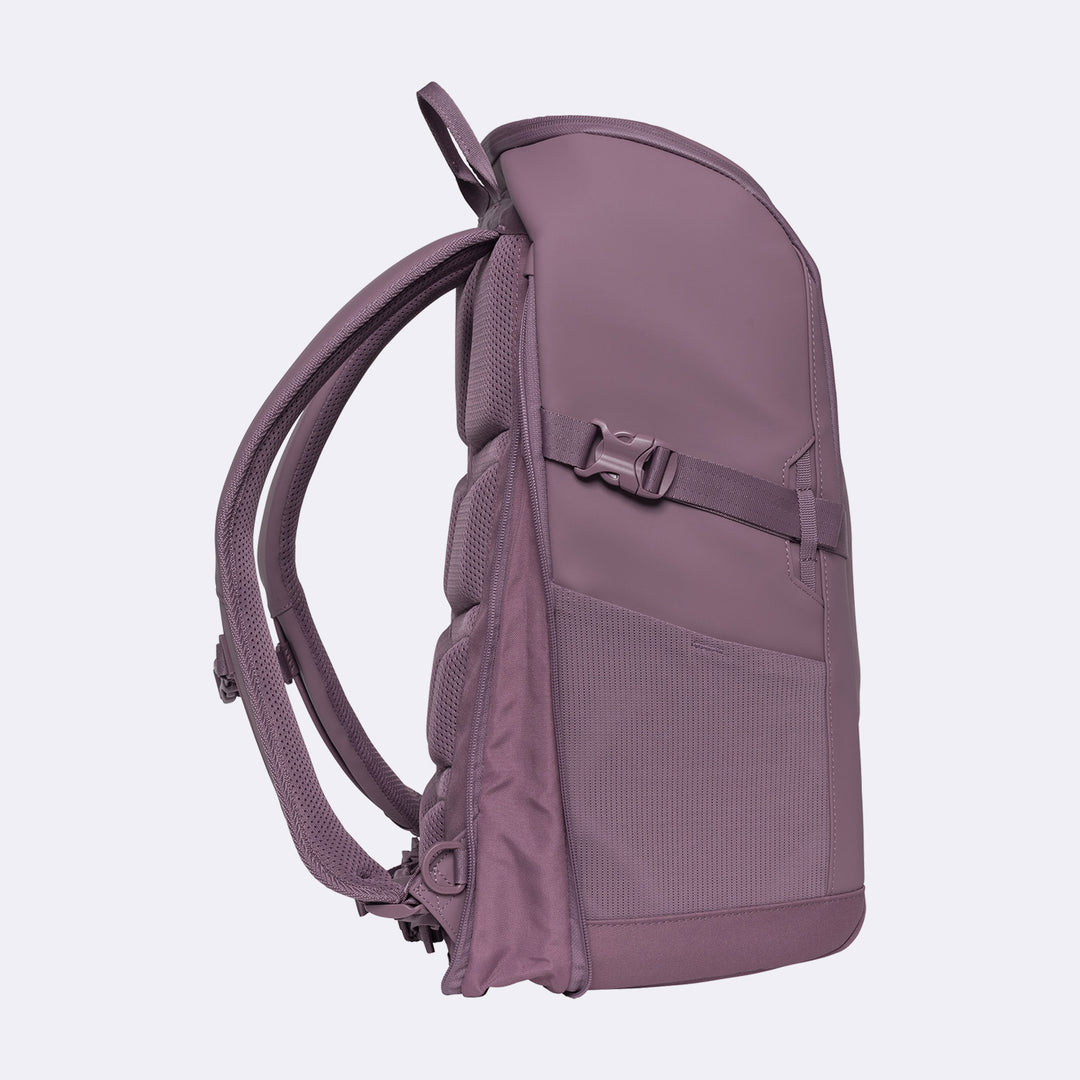 Street FLX, Grape